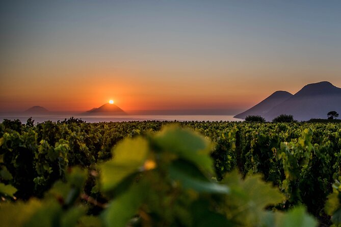 Experience TOAST TO THE SUN - When This Works Best (and When It Doesn’t)