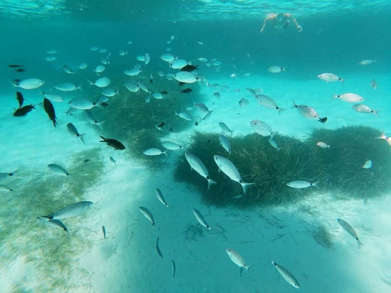 Favignana and Levanzo Island: Swim, Snorkeling and Lunch - Bue Marino caves: man-made cave vibes and a prosecco moment