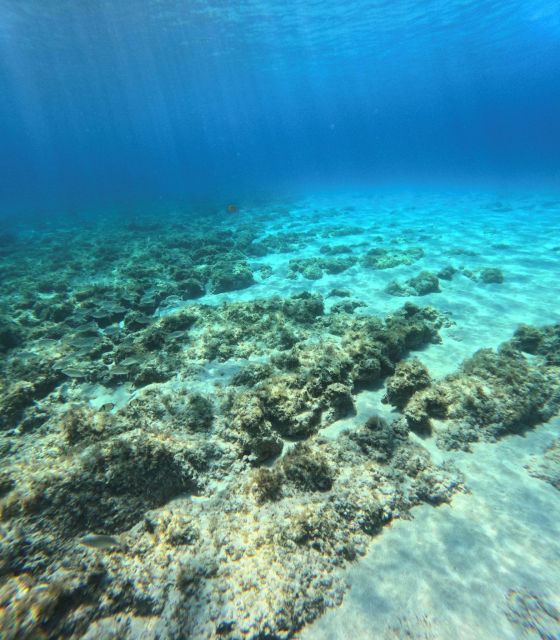 Favignana, Excursions by Dinghy from Marsala - Grotta degli Innamorati: Cave Legends Meet Snorkeling