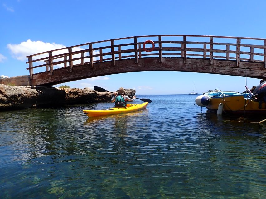 Favignana: kayak excursion, snorkelling and adventure - Who Should Book This Kayak + Snorkeling + Food Tour