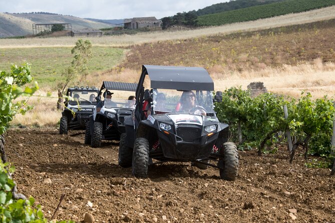 five sense outdoor experience - Price and logistics that actually matter