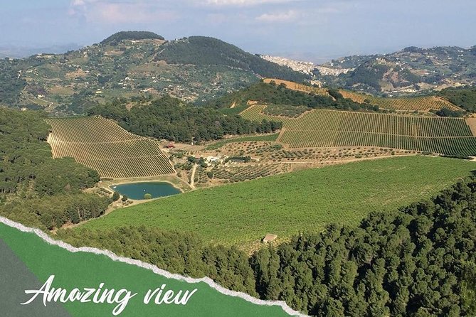 five sense outdoor experience - Stop 1: Tempio di Segesta and why the viewpoint experience is the point