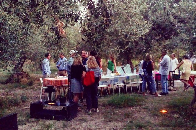 Food Experience at our Farm in Noto Hills - The farm walk: what you might gather depends on the season