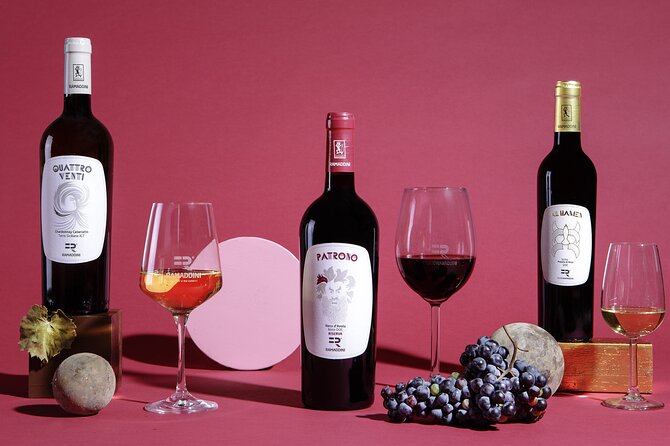 FR Lovers Wine Tasting - English Guidance: How to Get the Most Out of the Talk