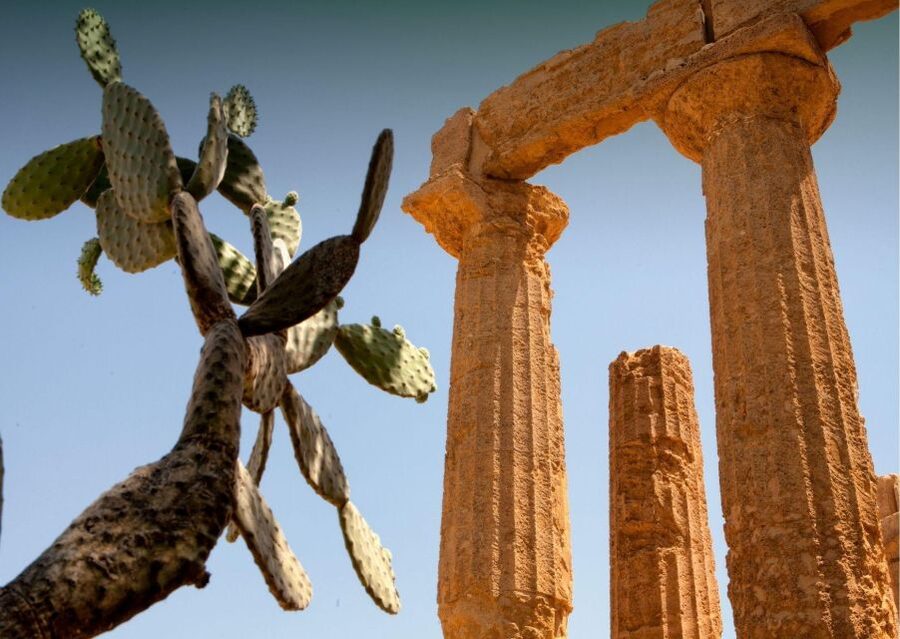 From Agrigento to Siracusa: Valley of Temples & Roman Villa - A Private Day From Agrigento to Siracusa With Two UNESCO Stops