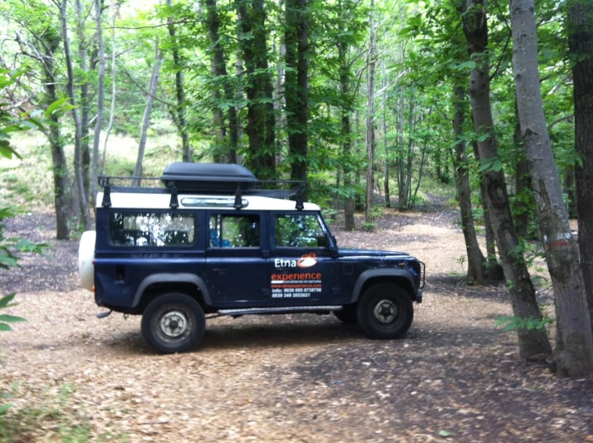 From Catania: 4x4 Mt Etna Jeep Tour - Who should book this Mt Etna Jeep tour