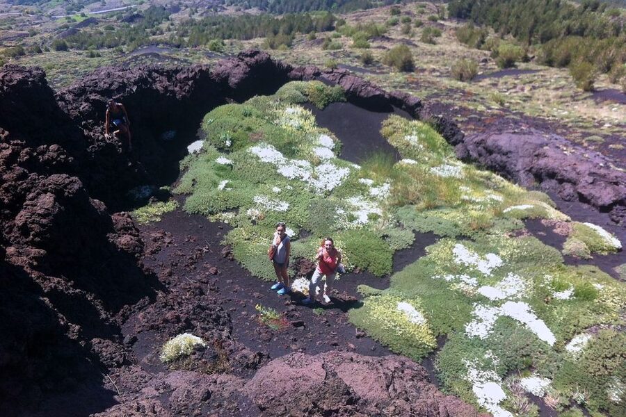 From Catania: Mount Etna Half-Day Tour and Wine Experience - Who This Tour Fits Best