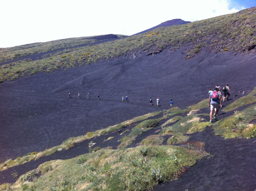 From Catania: Mount Etna Half-Day Tour and Wine Experience - Zafferana Etnea Wine Tasting: Volcanic Soil in a Glass