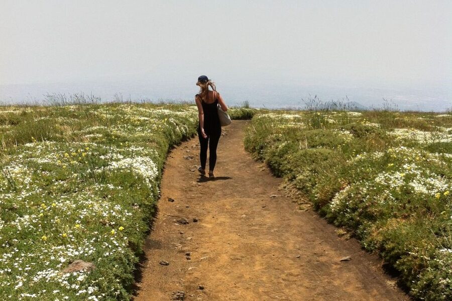 From Catania: Mount Etna Half-Day Tour and Wine Experience - Price and Value: Why This Mix Works Better Than Two Separate Tours