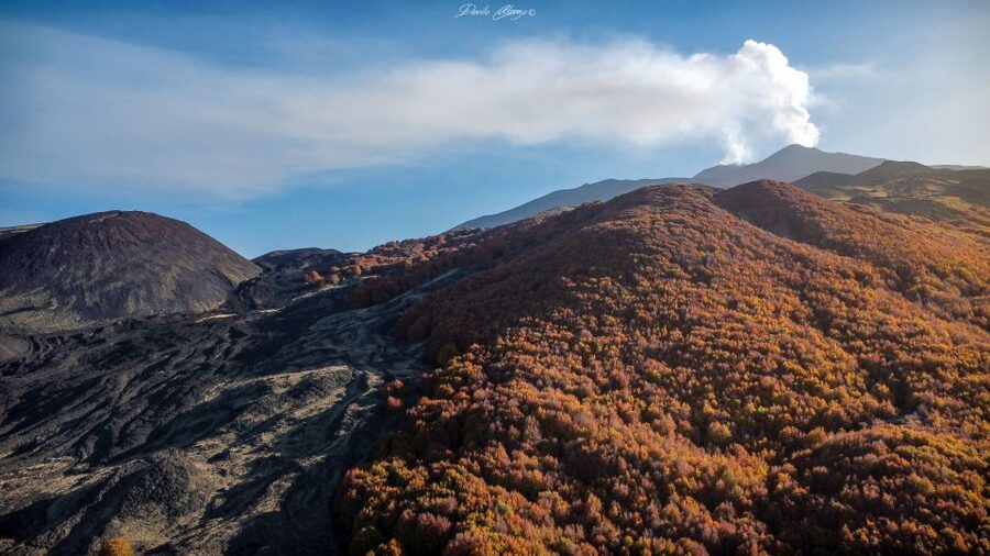 From Catania: Mt. Etna, Wine and Alcantara Tour - Winery lunch on the mountain road: wine included, with options for diets