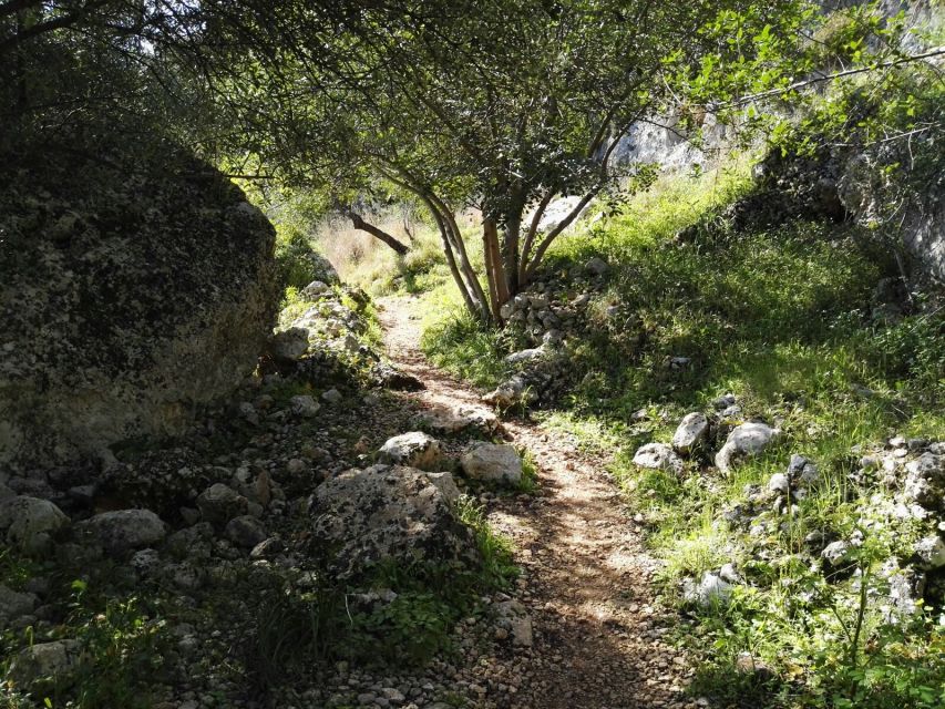 From Catania: Pantalica & Sortino Guided Tour - Price and Value: Is $115.55 Worth It?