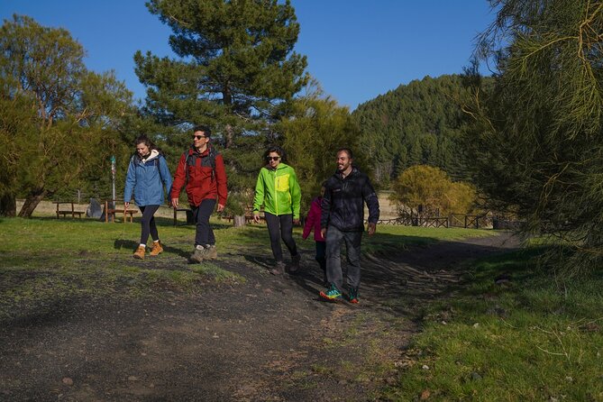 From Catania: Private mt. Etna trekking and pic-nic - Private vs group hikes: why this format often feels easier