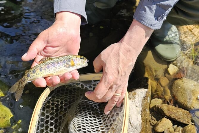 From Catania, Syracuse and Taormina: fly fishing experience - Pickup and timing: the part that saves your energy