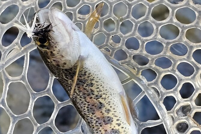 From Catania, Syracuse and Taormina: fly fishing experience - The guide factor: where quality shows up