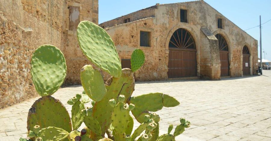 From Catania: Syracuse, Ortigia & Marzamemi Full-day Tour - A Day Loop From Catania: Marzamemi, Ortigia, Syracuse, One Full Ride