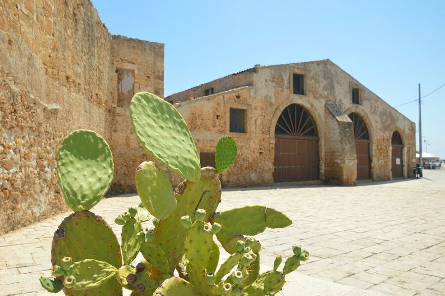 From Catania: Syracuse, Ortigia & Marzamemi Full-day Tour - Ortigia on Foot: Fountain of Arethusa to Piazza Duomo and Baroque Palaces