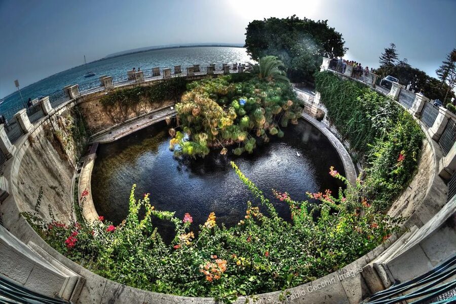 From Catania: Syracuse, Ortigia & Marzamemi Full-day Tour - Time, Driver Timing, and When Weather Swaps the Coast