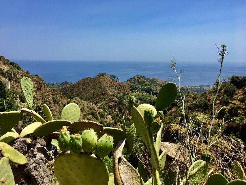 From Catania: The Godfather Movie Day Trip in Sicily - Should you book the Godfather Movie Day Trip from Catania?