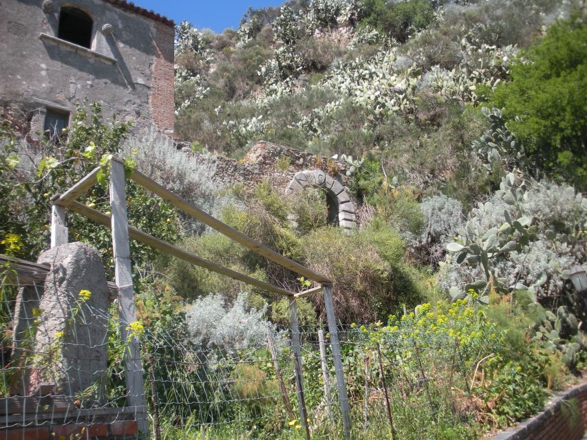 From Catania: The Godfather Movie Day Trip in Sicily - Is this tour for you? Who should book