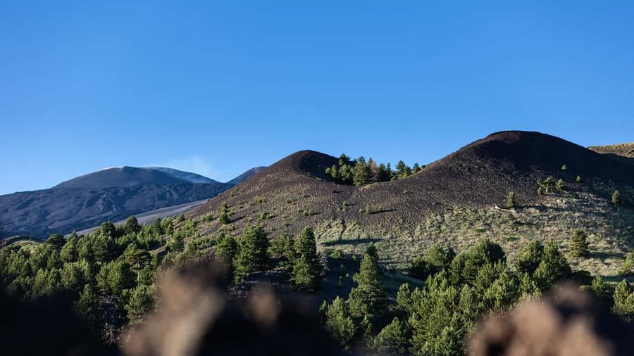 From Catania: trek on Mount Etna, Lava Cave & tasting Tour - FAQ