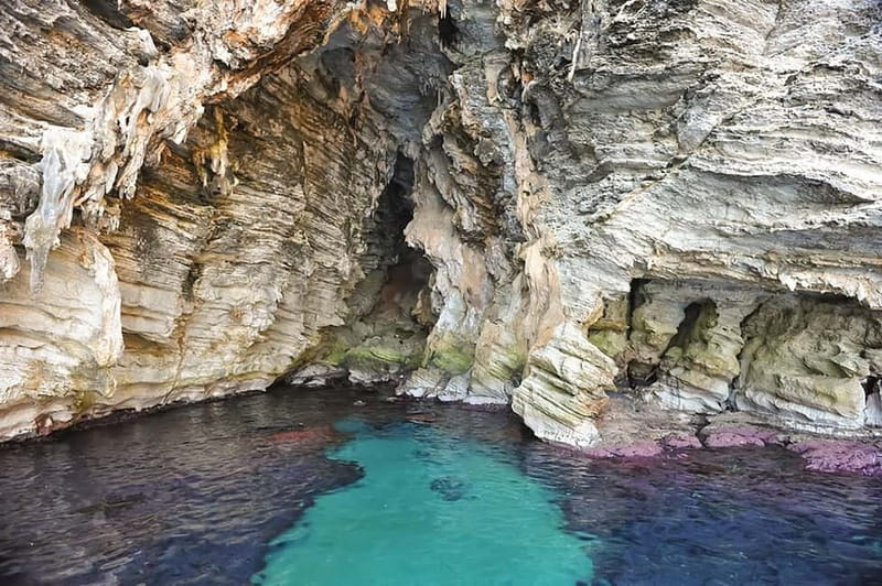 From Cefalù: Catamaran Excursion to Zingaro and Scopello - Zingaro Nature Reserve: Coves, Views, and Why This Part Feels Special