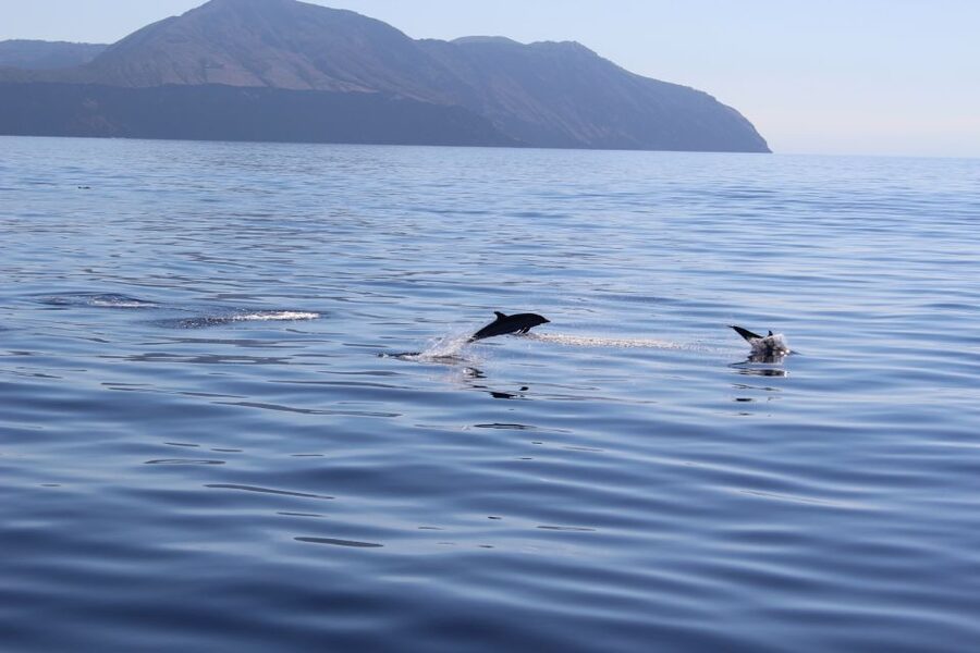 From Cefalù: Salina, Panarea, Stromboli Tour with Boat Ride - Who should book this Stromboli night-eruption day trip