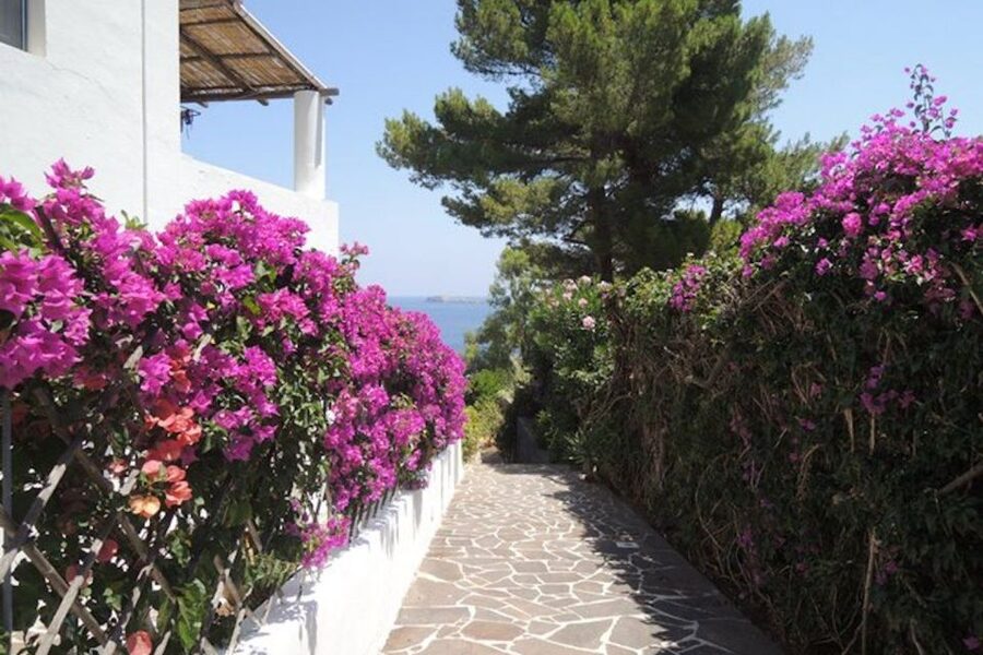 From Lipari: Panarea and Stromboli Cruise with Stops - Basiluzzo and Ginostra: The Stops That Make the Route Feel Personal
