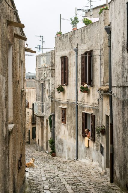 From Palermo: Day Trip to Erice, Segesta and Salt Pans - Timing reality: when a schedule slips, how to handle it