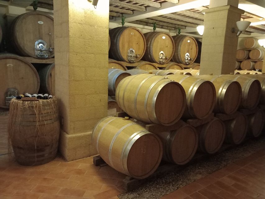 From Palermo: Erice and Marsala Day Trip with Lunch - Quick take: what makes this day trip work