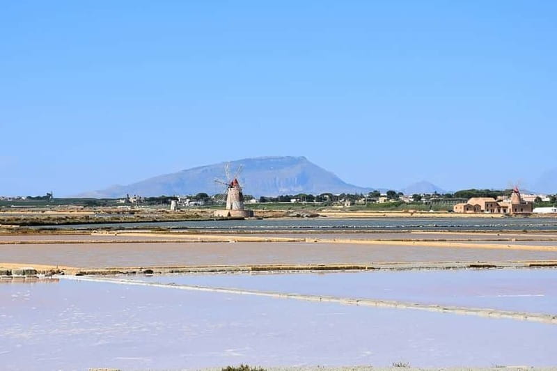 From Palermo: Erice & Marsala Salt, Olive Oil, and Wine Tour - Lunch in an olive farm: what that tasting really adds