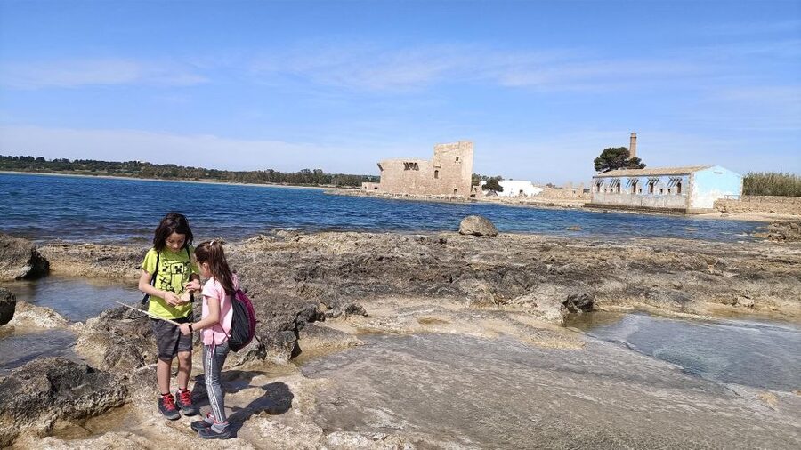 From Siracusa: Vendicari Nature Reserve Guided Tour - Key Things That Make This Tour Worth Your Time