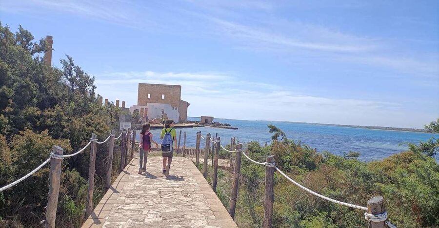 From Siracusa: Vendicari Nature Reserve Guided Tour - Inside Vendicari: Wetland Briefing, Spotting Scope, and a Focused Walk