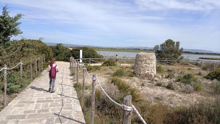 From Siracusa: Vendicari Nature Reserve Guided Tour - The Seaside Beach Time: Vegetation, Dunes, and the Birdwatching Rhythm
