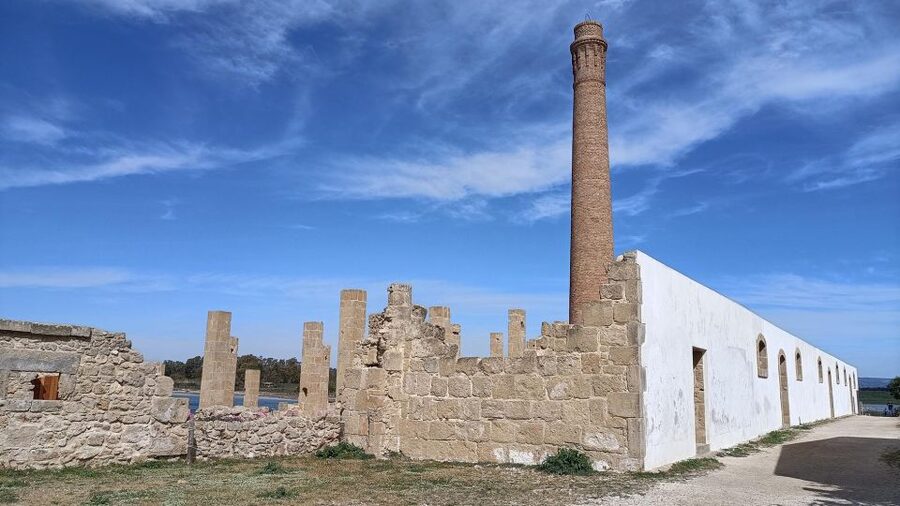 From Siracusa: Vendicari Nature Reserve Guided Tour - Logistics That Actually Matter: Time, Group Size, and Language