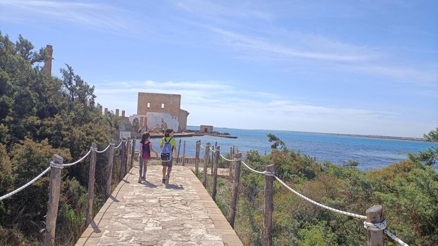 From Siracusa: Vendicari Nature Reserve Guided Tour - Getting Started at Piazza Pantheon and the Van Ride to Vendicari