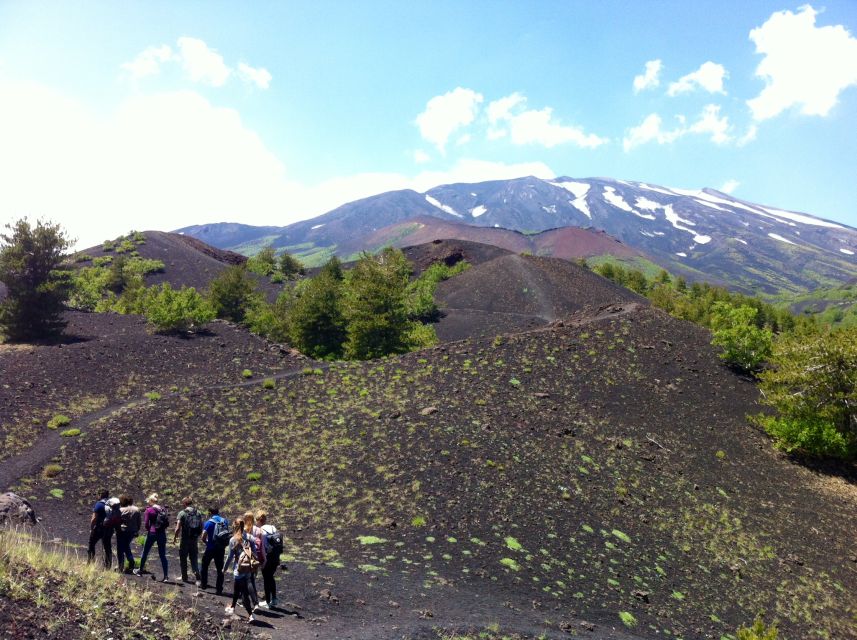 From Syracuse: Etna Tour with Light Lunch and Wine Tasting - Key points before you go
