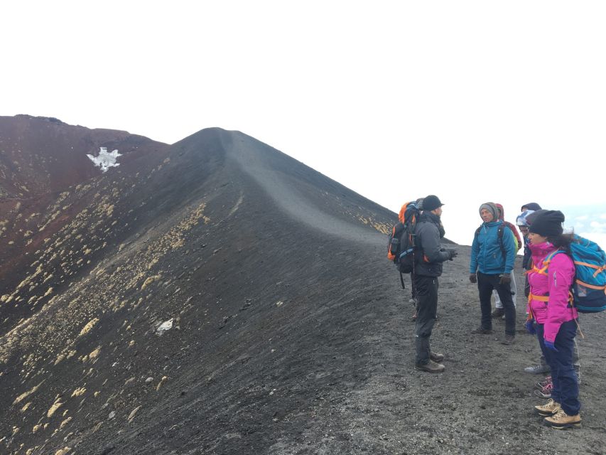 From Syracuse: Etna Tour with Light Lunch and Wine Tasting - Why this Etna day works better than trying it on your own