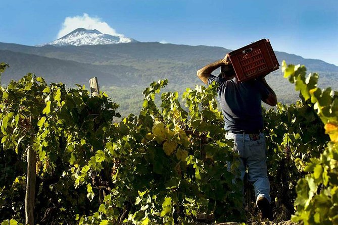 From Syracuse: Private Tour Mount Etna with Lunch at Etna Winery - What to Bring (and What to Expect on the Day)