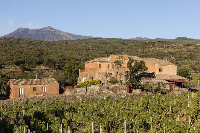 From Syracuse: Private Tour of Three Etna Wineries with food - Stop 3 with authentic charm: red and white pours with cheeses, meat, and olive oil