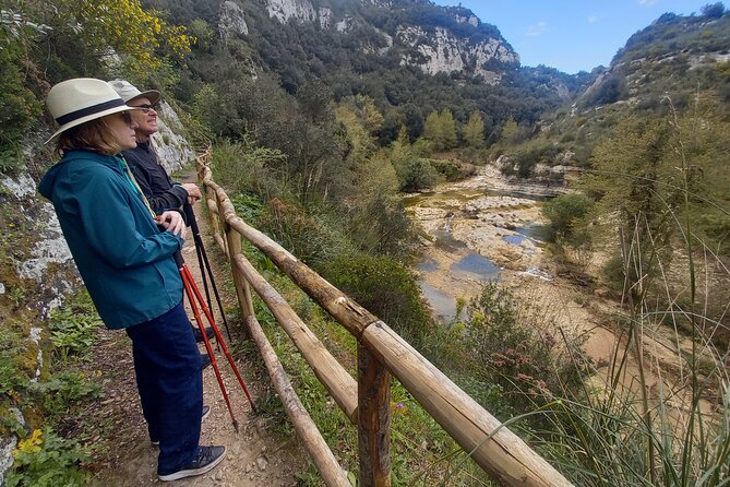 From Syracuse: Trekking Cavagrande - Guide style matters: plant and wildlife stops that make the hike click
