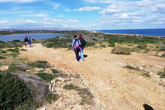From Syracuse: Vendicari natural reserve - PRIVATE - Meeting in Siracusa at 8:30 am (and why that matters)
