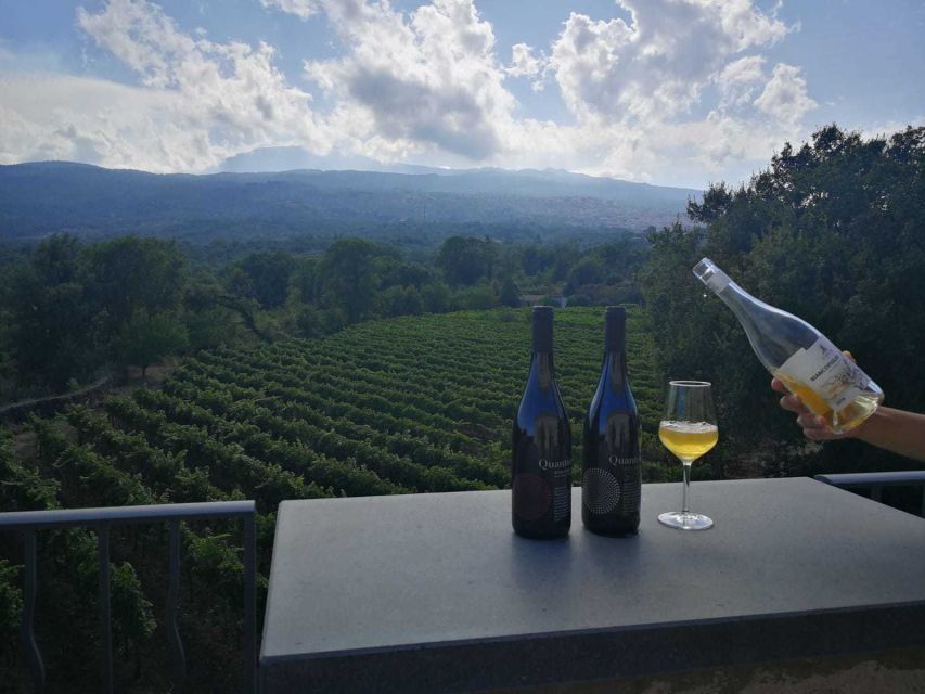 From Taormina: Etna Wineries Small Group Tour - Quick hits before you book