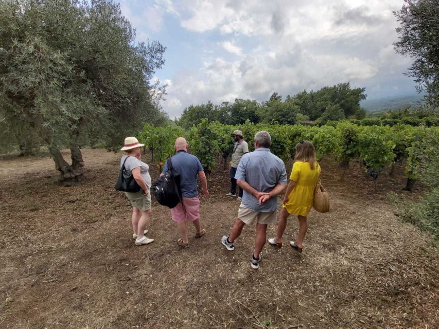 From Taormina: Etna Wineries Small Group Tour - Stop 2 at the second winery: the 3 DOP wines and a lunch you can actually count on