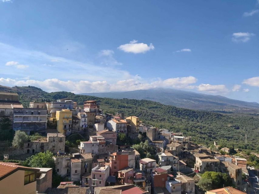 From Taormina: Etna Wineries Small Group Tour - Wine-tasting sanity tips for a long day