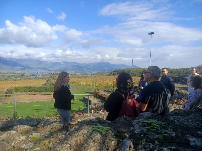 From Taormina: Etna Wineries Small Group Tour - Taormina pickup, a 9-seater van, and why the timing matters