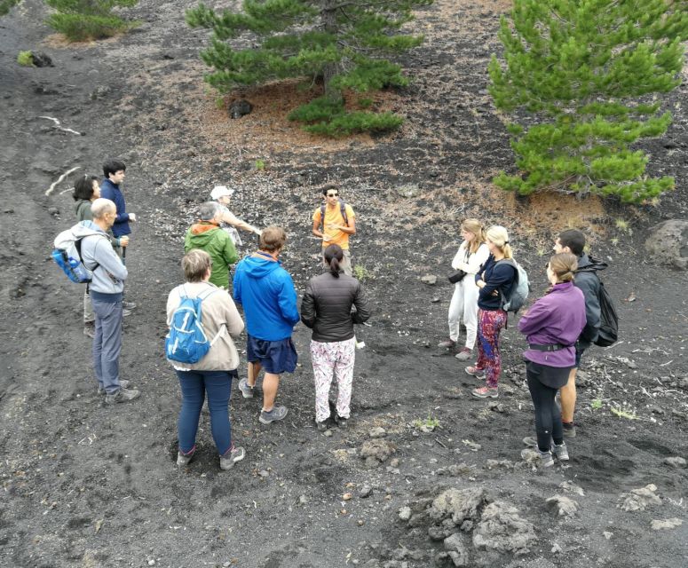 From Taormina: Full-Day Etna, Wine & Alcantara Canyons Tour - Getting to Etna From Taormina: Pickup and Group Feel