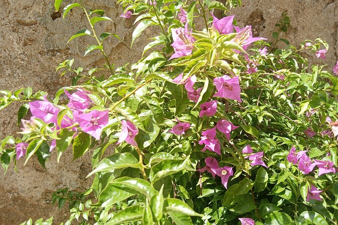 From Taormina Godfather Private Tour Forza D'Agrò and Savoca - Key Points You’ll Care About