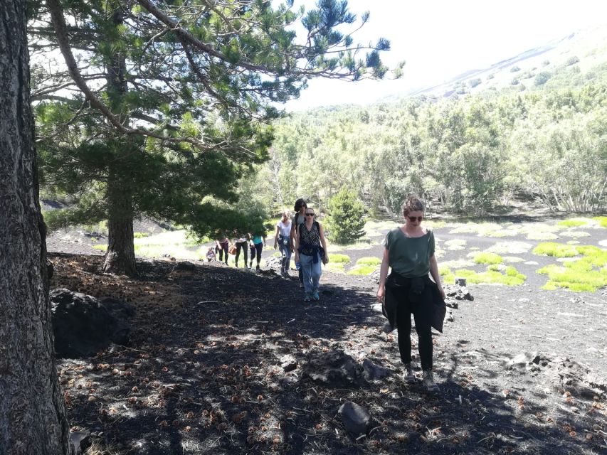 From Taormina: Half-Day Mount Etna Morning Trek - The Winery Finish: Lunch, Wine, and Almond Sweetness