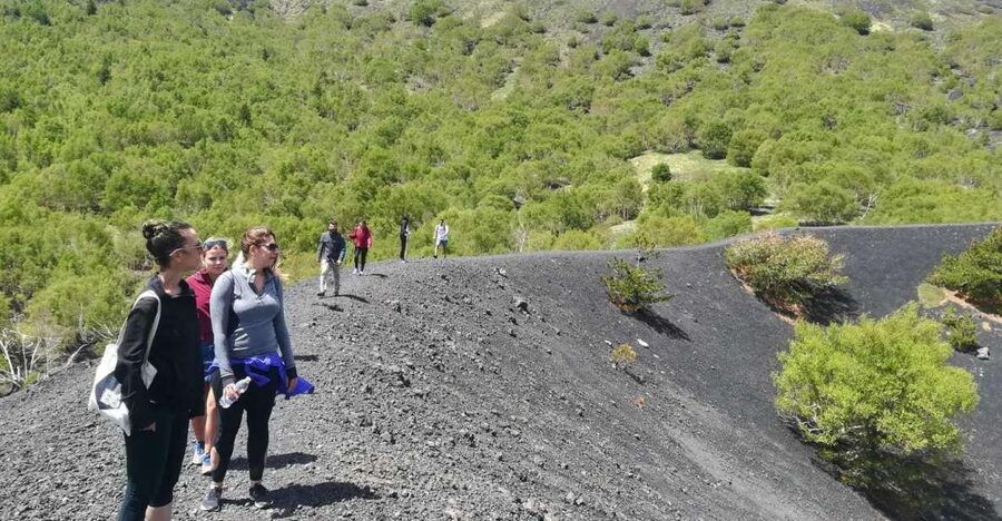 From Taormina: Half-Day Mount Etna Morning Trek - Crater Trails at 2,000 Meters: The Part You Came For