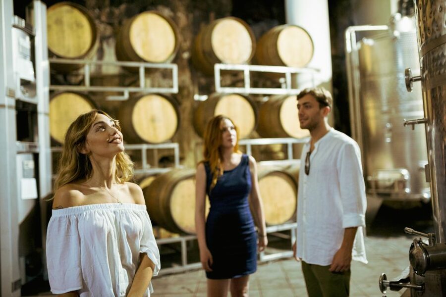 From Taormina: Mount Etna Food and Wine Tasting Tour - Should You Book the Mount Etna Food and Wine Tasting Tour?